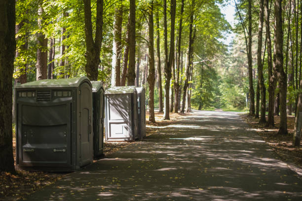 Best Local porta potty services  in Auburn, MI